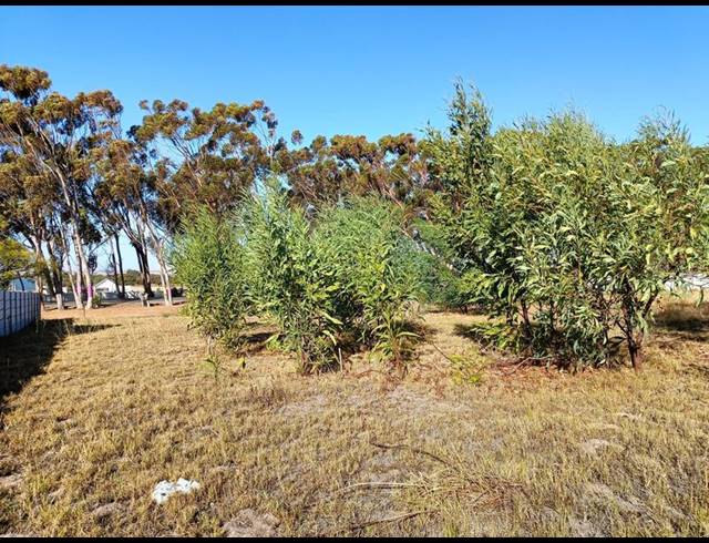 LAND FOR SALE IN DARLING